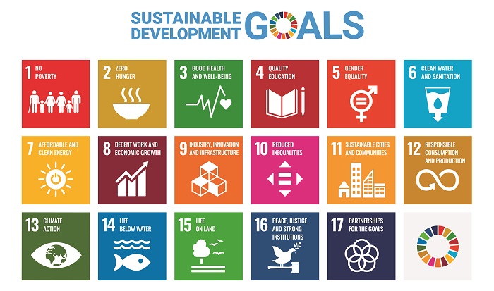 SDGs INDIVIDUAL GOALS FOR WEB