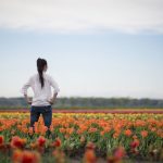 花畑で佇む女性の後ろ姿