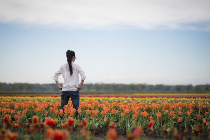 花畑で佇む女性の後ろ姿