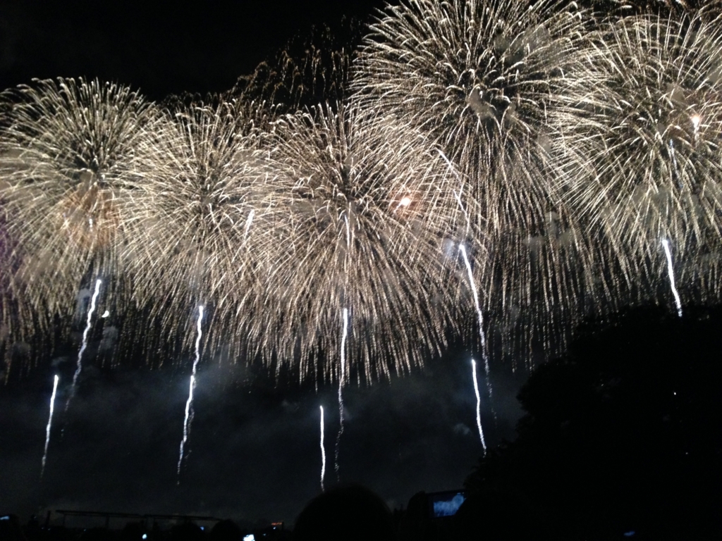 プライベート打ち上げ花火で しっとりとした花火大会を開催するには リクナビnextジャーナル