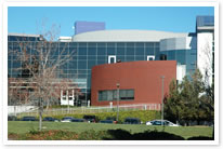 米カリフォルニア州マウンテンビュー市のグーグル本社。広大な敷地内はまるで大学のキャンパス。